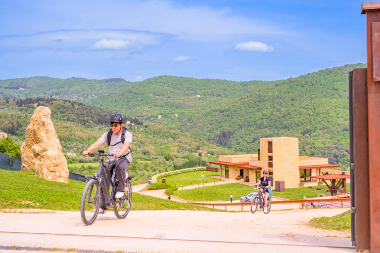Florença: Fiesole E-Bike Tour com prova de azeite