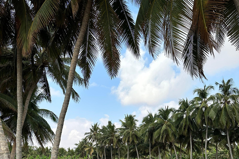 Elite Privé Dagvullende Tour - Salalah Belangrijkste Attracties