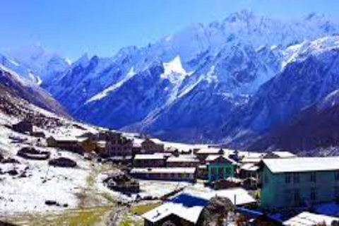 From Kathmandu: 5 Days Langtang Valley Nature Explore Trek