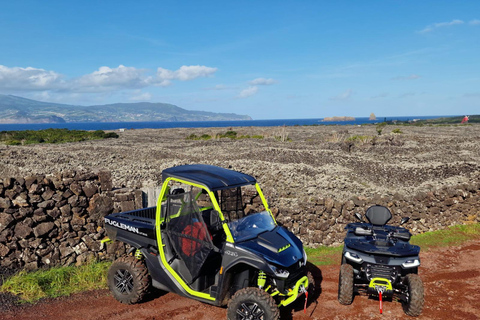 Promenade en buggy dans les vignobles de l&#039;île de Pico