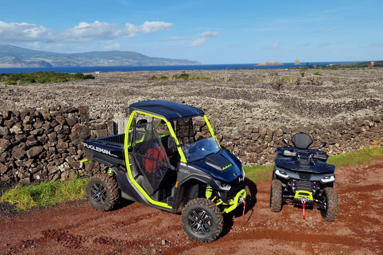 Buggy-tur genom vingårdarna på Pico Island