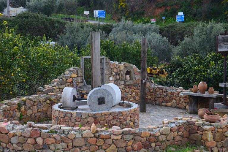 Crete: Wine & Olive Oil Tasting & Historic Villages Tour