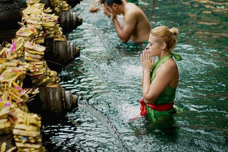 Bali: Rondleiding door tempels, waterval en rijstterrasDagtour met gids