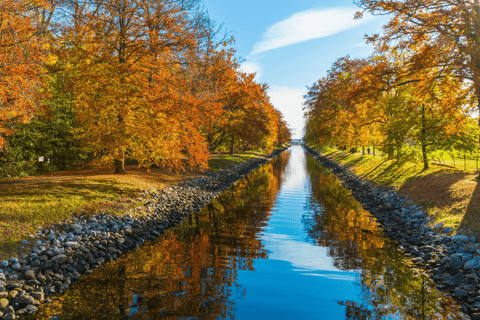 Carcasona : Tour a pie guiado para descubrir la ciudadTour en francés