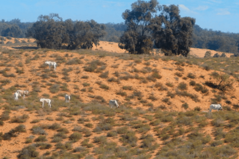 Agadir Paradise Valley & Tizgui Oasis: Swimming & Fish Spa