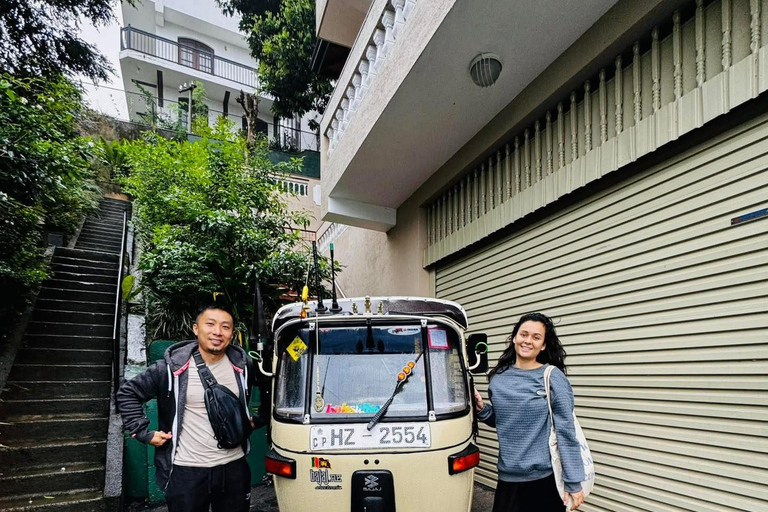 Kandy: Guided City Tour/Temple of the Tooth & Tea Factory