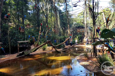 Foz do Iguaçu: 2-Day Guided Tour with Waterfalls & Itaipu