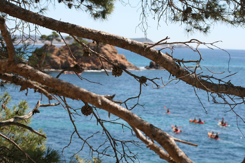 Kayak e snorkeling a Playa de Aro, Costa Brava