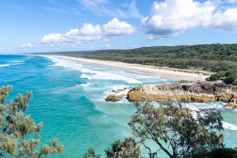 From Brisbane: Stradbroke Island Indigenous Culture Day Tour