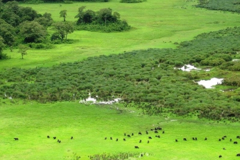 Dagtocht Nationaal Park Arusha