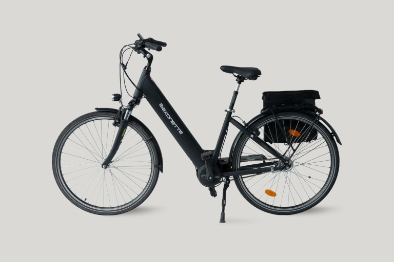 Drezno: Wypożyczalnia rowerów na jeden dzień — rower elektrycznyDrezno: Wypożyczalnia rowerów na jeden dzień