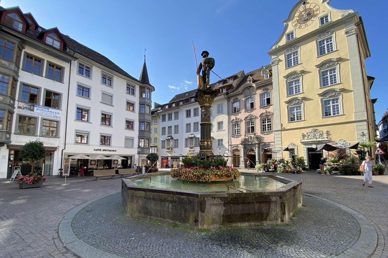 من زيورخ: جولة لنصف يوم في شلالات الراين وشافهاوزن