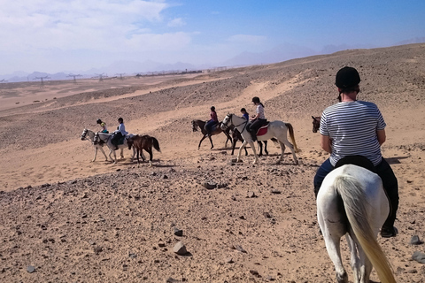 Desde Hurghada: Excursión a Caballo por la Bahía de Makadi