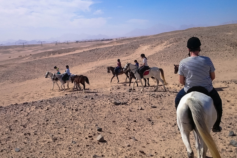 Desde Hurghada: Excursión a Caballo por la Bahía de Makadi