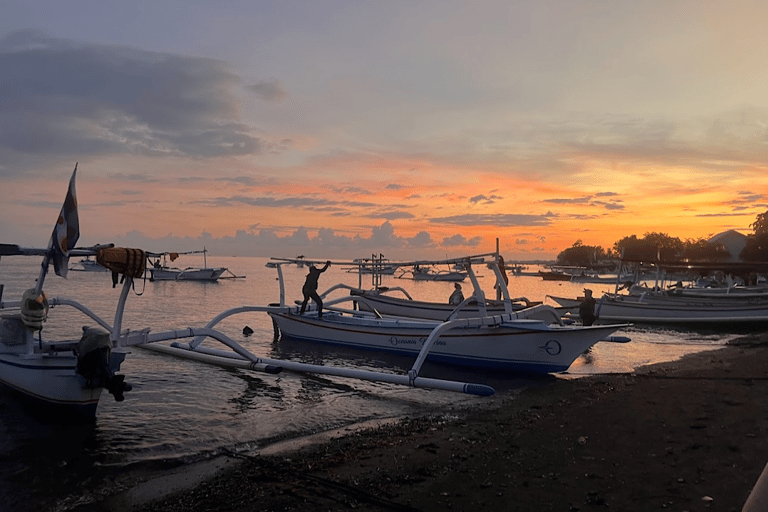 Lovina/Bali: Delfinskådning, simning och snorklingPrivat båttur med mötesplats