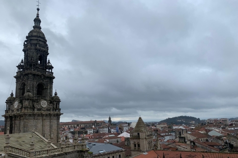 Zwiedzanie katedry w Santiago z dachami i Portico de la GloriaPełna wycieczka po katedrze w Santiago