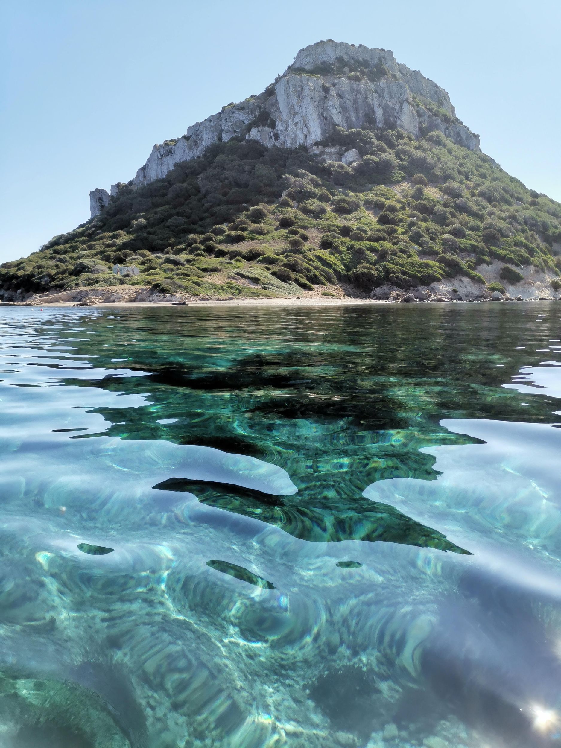 Olbia: Delfinbeobachtungstour und Schnorchelausflug zur Insel Figarolo