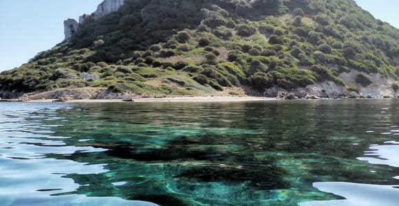 Olbia: Delfinbeobachtungstour und Schnorchelausflug zur Insel Figarolo