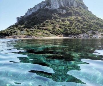 Olbia: Visita à ilha de Figarolo e mergulho com snorkel e observação de golfinhos