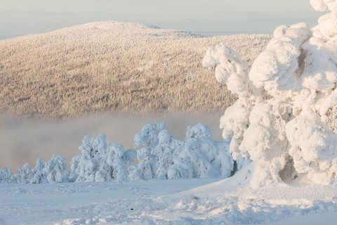Winter Snowshoeing in the Finnish Wilderness