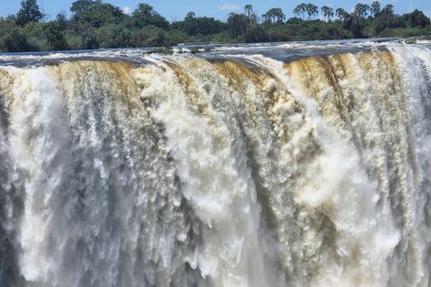 Victoria Falls Guided Walking Tour: Zimbabwe & Zambia
