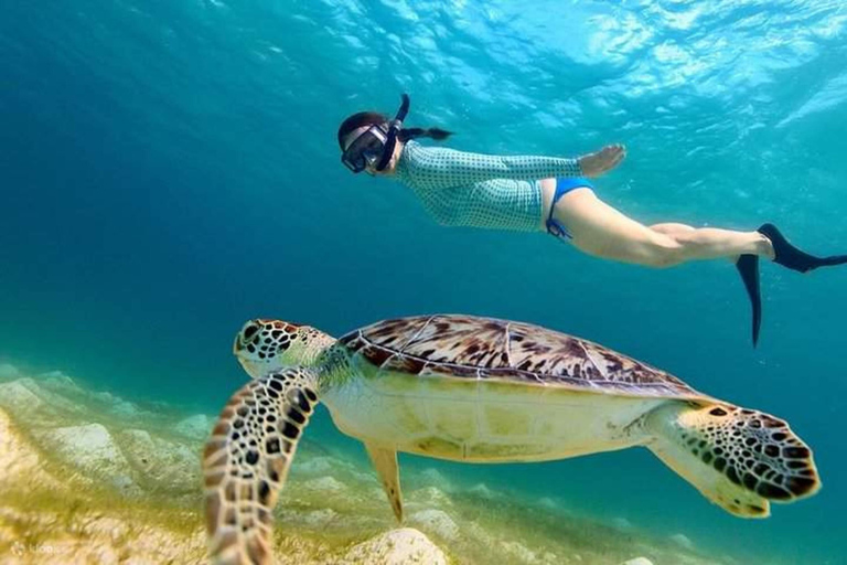 Lombok: Private Gili Island Snorkeling Tour with GoPro Photo