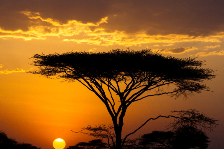 Zanzíbar: safari de 3 días en el Serengueti con comidas