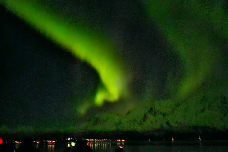 Tromsø:Tour de la aurora boreal en minibús por Tromsø