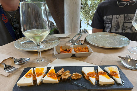 Tenerife: Avocado Farm Tour with Tasting Menu & Wine