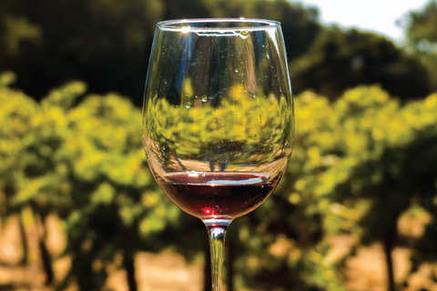 San Francisco: Half Day Wine Tour & Hop-On Hop-Off City Tour