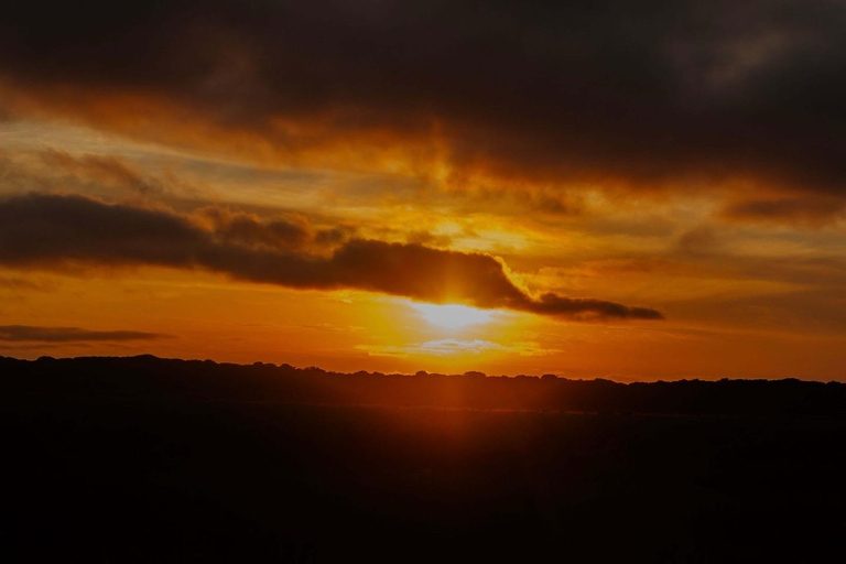 Maputo: National Park Sunset Safari with Picnic Private Sunset Safari in Maputo National Park