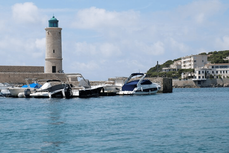 Tour privato di un giorno intero da Avignone