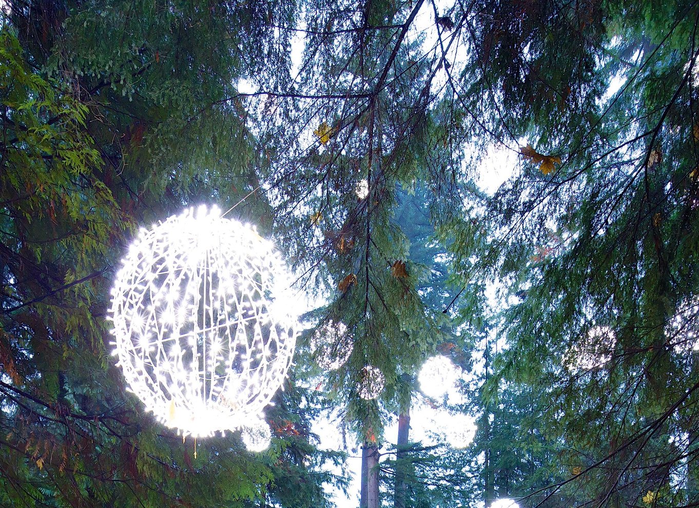 Vancouver: Capilano Suspension Bridge Park billet