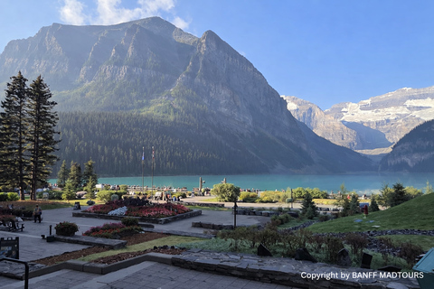 Banff: Moraine Lake Sunrise View & Lake Louise Tour Calgary Pickup