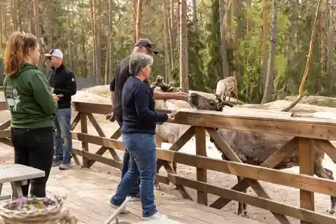 Helsínquia: Passeio de buggy, visita a uma quinta de renas e piquenique