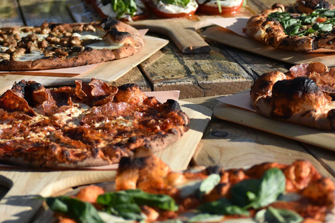 Lunch in the Vineyard: A Scenic Niagara Wine Tour Experience