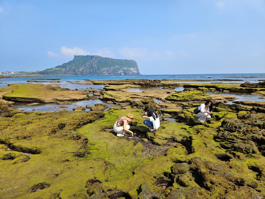 Jeju Island East SIC Tour with Lunch included | GetYourGuide