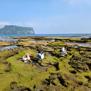 Jeju Island East SIC Tour with Lunch included | GetYourGuide