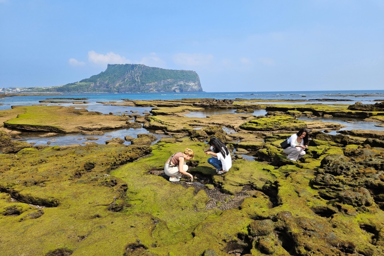 Jeju Island East-bustour met lunch inbegrepen Volledige dagtocht