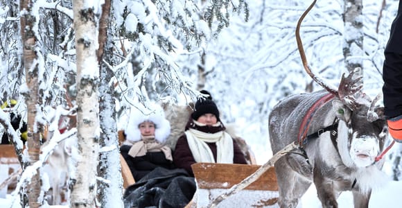Levi: Reindeer Sleigh Ride 600m in Enchanting Forest