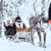 Levi: Reindeer Sleigh Ride 600m in Enchanting Forest