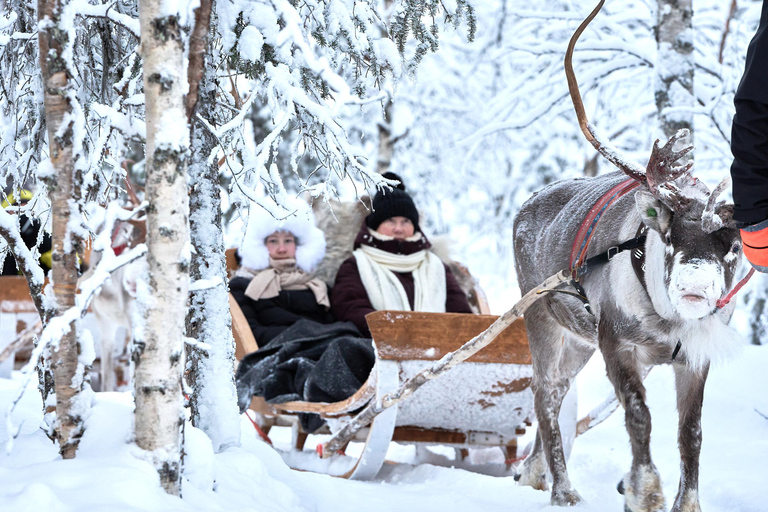 Levi: Reindeer Sleigh Ride 600m in Enchanting Forest