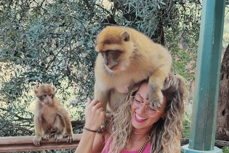 Marrakesh: Ouzoud Falls &amp; Mountain Guided Hike &amp; Boat Ride