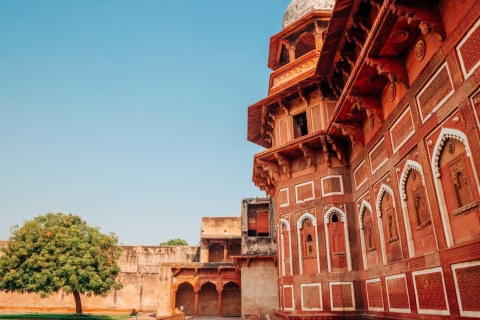 Lo más destacado de Agra (Visita guiada de un día entero por la ciudad)