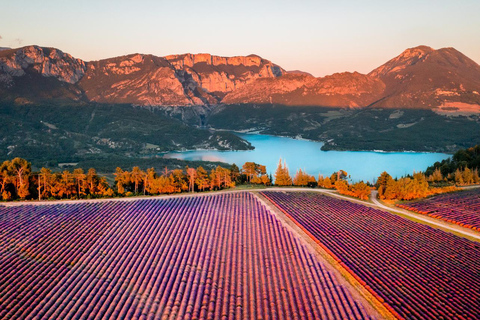 Day Trip: Lavender Fields & Gorges du Verdon LICENSED GUIDE + MERCEDES V