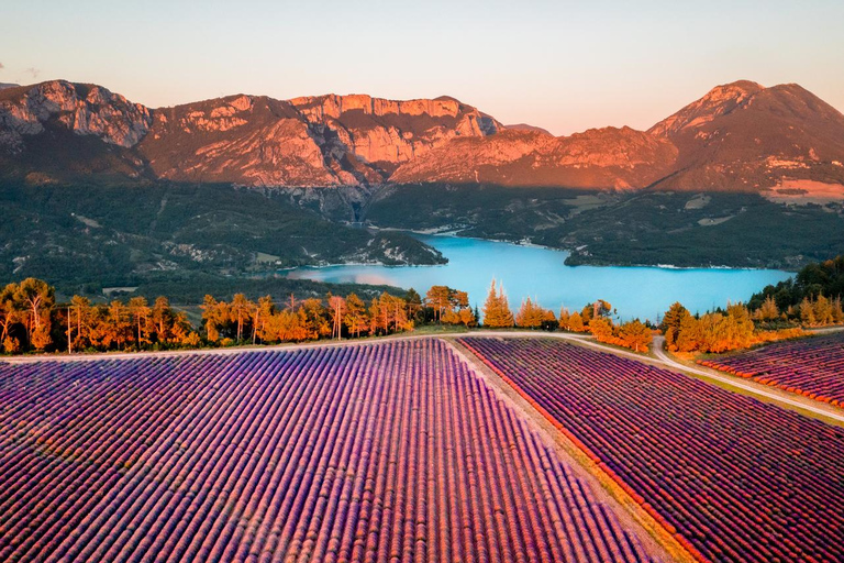 Day Trip: Lavender Fields & Gorges du Verdon LICENSED GUIDE + MERCEDES V