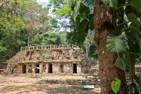 From Palenque: Lacandon Jungle 2 days, Yaxchilan, Bonampak and Trekking From Palenque: Lacandon Jungle 2 Days, Yaxchilan, Bonampak and Trekking