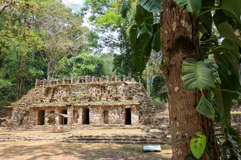 From Palenque: Lacandon Jungle 2 days, Yaxchilan, Bonampak and Trekking From Palenque: Lacandon Jungle 2 Days, Yaxchilan, Bonampak and Trekking