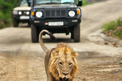 Nairobi: National Park Tour Experience