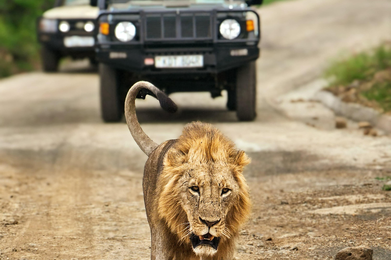 Nairobi: National Park Tour Experience